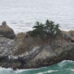 Cambria2010_214 ()